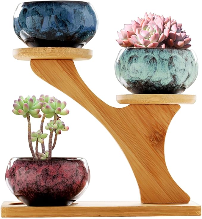 YYW Succulent Pots with Drainage Ceramic Plant Pot Indoor Small Flower Cactus Pots with Tree Tier Bamboo Stand Shallow Planter for Garden Windows Home Office Decor Plant Lovers Gifts