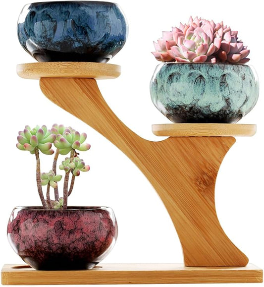 YYW Succulent Pots with Drainage Ceramic Plant Pot Indoor Small Flower Cactus Pots with Tree Tier Bamboo Stand Shallow Planter for Garden Windows Home Office Decor Plant Lovers Gifts