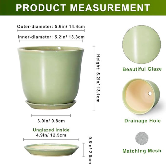 5.6 Inch Plant Pot - Ceramic Pots for Plants Indoor Outdoor, Round Orchid Succulent Pot with Drainage Hole and Saucer, Modern Small Planter, Home Room Window Decor, Plants Lover Gift, Green
