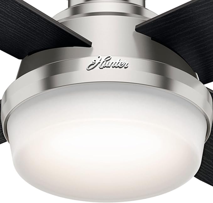 Hunter 52 inch Indoor Ceiling Fan with LED Light and Remote Control - Modern Ceiling Fan, Low Profile Mount, 4 Black Oak Blades, For Bedroom, Living Room, or Kitchen - Dempsey 59241, Brushed Nickel