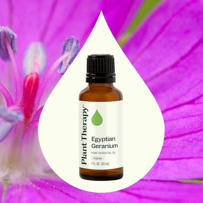 Plant Therapy Egyptian Geranium Essential Oil 100% Pure, Undiluted, Natural Aromatherapy, Therapeutic Grade 30 mL (1 oz)