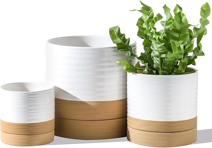 HASENSE Plant Pots, 8+6+4.6 Inch Ceramic Pots for Plants with Drainage Hole and Saucer, White Flower Planters Set of 3, Ideal for Gardening Home Desktop Office Decor