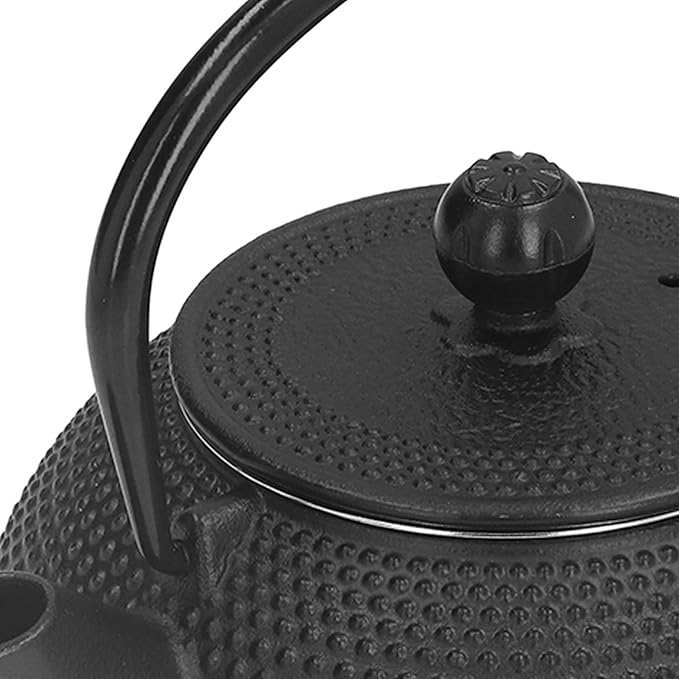 Alvinlite Cast Iron Teapot Set, Japanese Tetsubin Tea Kettle Set with Stainless Steel Infuser for Leaf Loose Tea and Blooming Flower Tea Cast Iron Tea Kettle (Black 800ml / 27oz)
