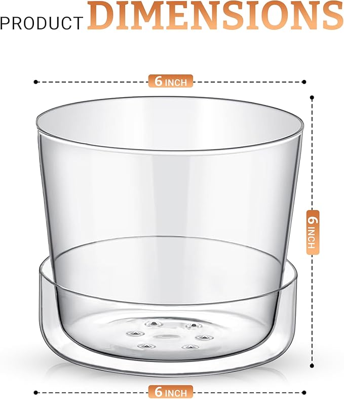 Sheer Glass Pot Planter with Drainage Holes & Tray - Decorative & Modern for All House Plants (6 Inches)