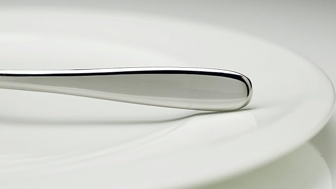 Fortessa Grand City 18/10 Stainless Steel Flatware Serving Spoon, 9.25-Inch