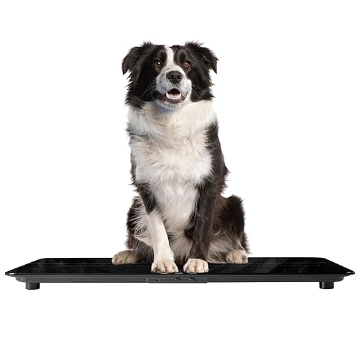 SIKE Medium-Small Veterinary Scale, Dog Scale (±10g) Accuracy, Max 220lbs, Digital Pet Scales and USB Recharging Cord Included, 27 x 13 inch Tempered Glass Platform with Anti Slip Sticker
