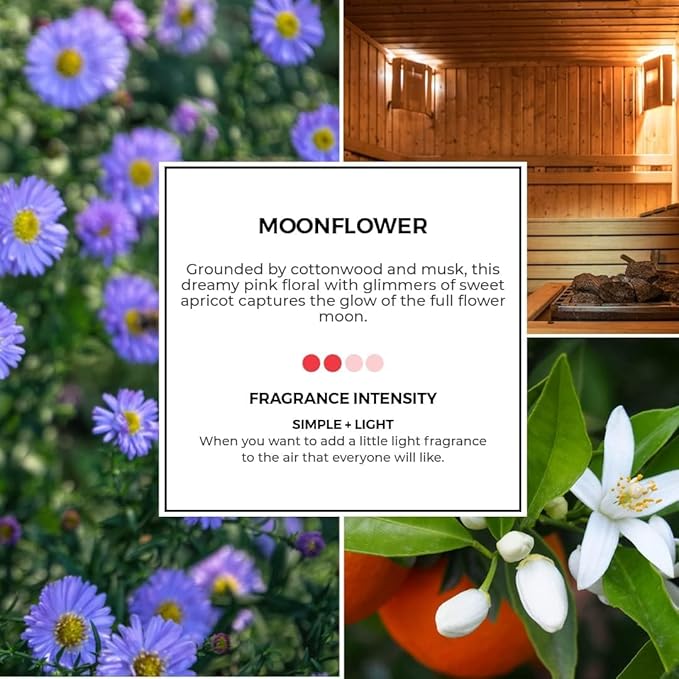 PartyLite Set of 12 Tea Lights Candles, Moonflower Scent, Aromatherapy Scented Candles Gift Set, Up to 4 to 6 Hours Burn Time