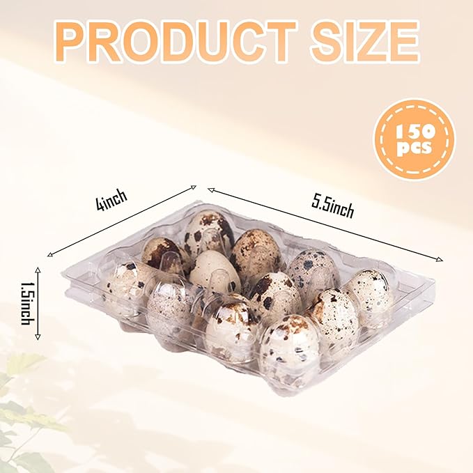 150 Pack Clear Quail Egg Carton,12 Grids Plastic Egg Cartons Bulk,Small Plastic Quail Egg Storage Holder with Lid,Stackable Quail Eggs Carton Trays for Storing Eggs of Quail, Pigeon