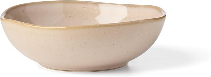 Oneida 897202 Organic Shades 12-Piece Dinnerware Set, Clay