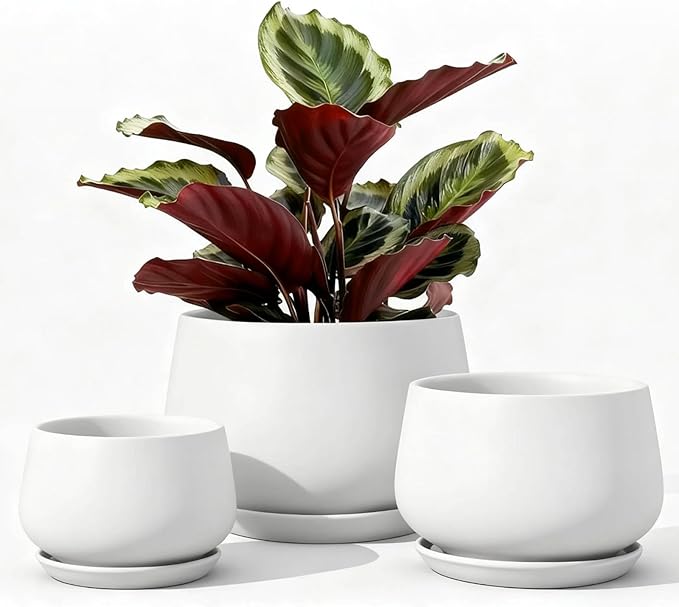 LE TAUCI Ceramic Plant Pots, 4.1+5.1+6.5 inch, Set of 3, Planters with Drainage Hole and Saucer, Indoor Flower Pot with Hole Mesh Pad, Gifts for Mom, White