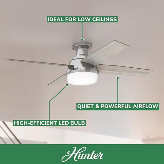 Hunter 52 inch Indoor Ceiling Fan with LED Light and Remote Control- Modern Ceiling Fan, Low Profile Mount, 4 Light Gray Oak Blades, For Bedroom, Living Room, or Kitchen- Dempsey 50283, Brushed Nickel