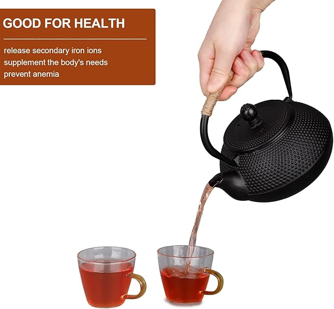 PARACITY Cast Iron Teapot Japanese Tetsubin Coated with Stainless Steel Infuser, Stovetop Tea Kettle for Boiling Hot Water Tea, Mothers Day Gifts from Daughter/Son 23.5 Oz /700 Ml