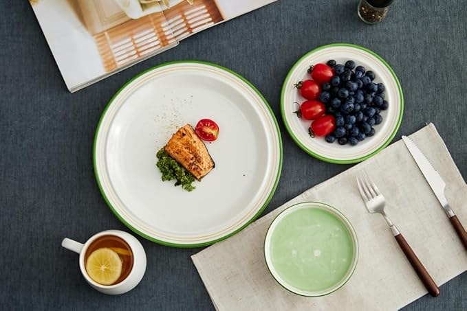 10.5-inch Porcelain Dinner Plate Set of 6 - Microwave, Oven and Dishwasher Safe, Scratch Resistant. (Multicolor)