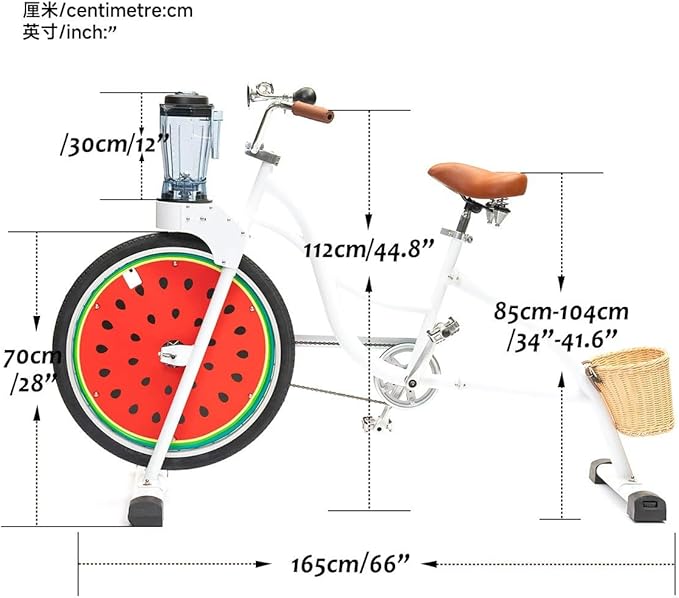 Blue Outdoor Pedal Blender Bike – Smoothie Maker Juicer for Fruit and Vegetable, Commercial Fitness Juice Blender