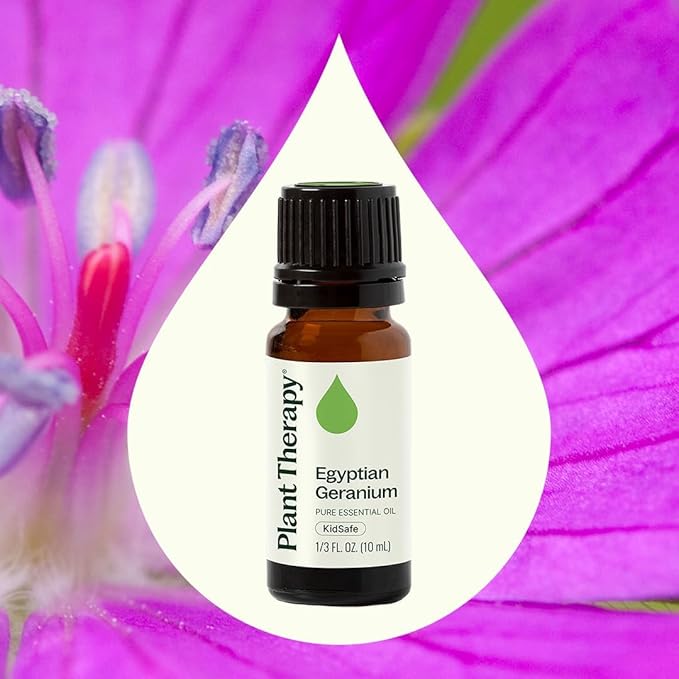 Plant Therapy Egyptian Geranium Essential Oil 100% Pure, Undiluted, Natural Aromatherapy, Therapeutic Grade 10 mL (1/3 oz)