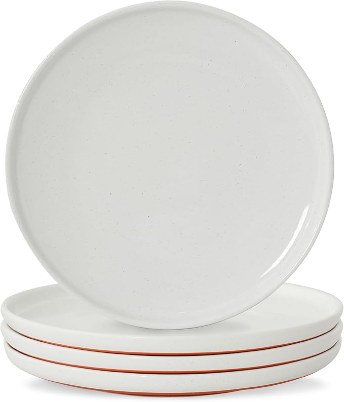 10.25-Inch Dinner Plates Set of 4, Dual Glaze Stoneware Plates, Microwave and Dishwasher Safe, Ceramic Plates for Everyday Dining, Stardust Glaze White
