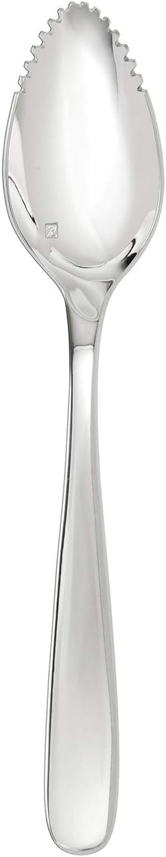 Fortessa Grand City 18/10 Stainless Steel Flatware Grapefruit Spoons, Set of 12,Silver
