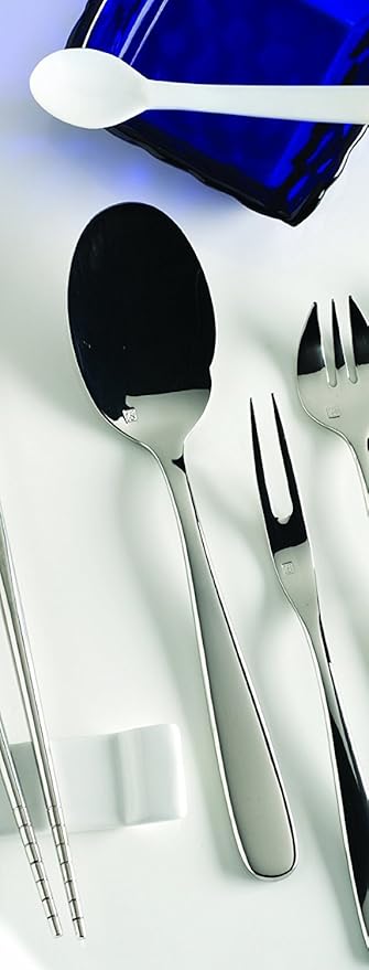 Fortessa Grand City 18/10 Stainless Steel Flatware Serving Spoon, 9.25-Inch