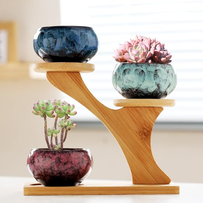 YYW Succulent Pots with Drainage Ceramic Plant Pot Indoor Small Flower Cactus Pots with Tree Tier Bamboo Stand Shallow Planter for Garden Windows Home Office Decor Plant Lovers Gifts