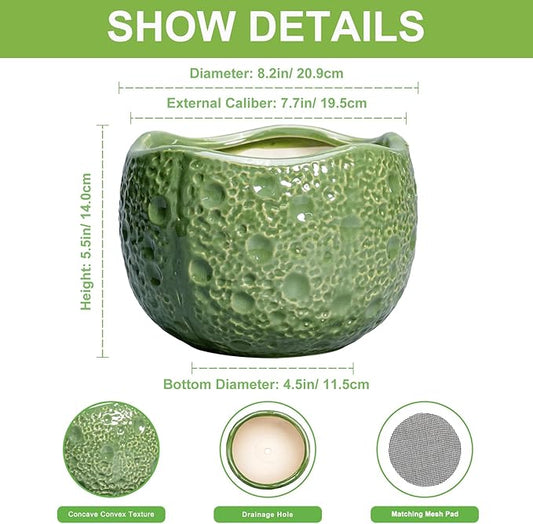 8 Inch Plant Pot - Ceramic Pots for Plants with Drainage Hole, Round Decorative Plant Pots for Indoor Outdoor, Modern Unique Flower Pot, Office Decor, Garden Gifts, Green