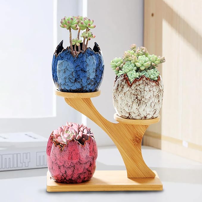YYW Succulent Planter Pots Indoor Ceramic Decoration Cactus Small Flower Plant Pot with Tree Tier Bamboo Stand for Garden Kitchen Home Office Decor Plant Lovers Gifts 3Pcs
