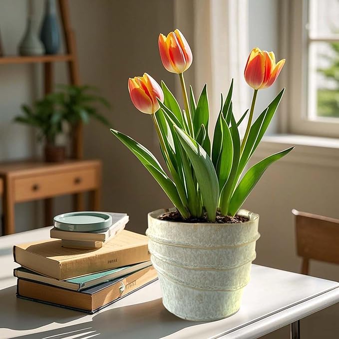 Medium Pots for Plants, 6in Plant Pots with Drainage & Saucer, Ceramic Flower Pots for Indoor Plants, Light Green
