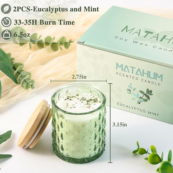 2 Pack Eucalyptus & Mint Scented Candles for Home Decor, 6.5oz Natural Soy Wax Aromatherapy Jar Candles, Housewarming Gift for Women