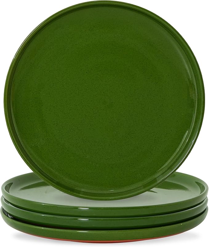 10.25-Inch Dinner Plates Set of 4, Dual Glaze Stoneware Plates, Microwave and Dishwasher Safe, Ceramic Plates for Everyday Dining, Forest Glaze Green