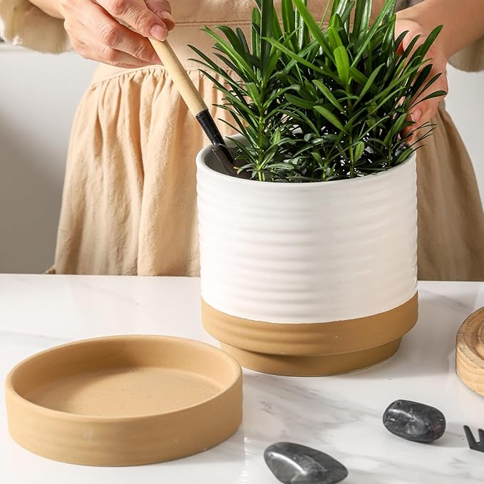 HASENSE Ceramic Plant Pots, 6 Inch Planters for Indoor Plants with Drainage Holes and Saucers, White Flower Pots for Succulent, Snake Plants, Cactus, Modern Decor Gift for Mom, 1 Pcs