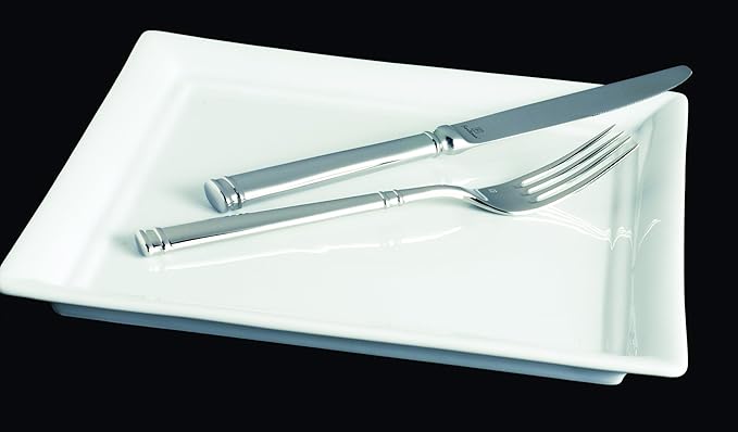 Fortessa Bistro 18/10 Stainless Steel Flatware Solid Handle Table Knife, Set of 12, Silver
