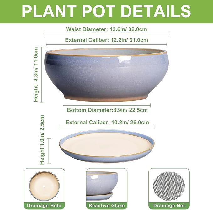 SQOWL 12 Inch Bonsai Pots - Shallow Ceramic Planter for Indoor Plants Outdoor, Large Succulent Pots with Drainage Hole and Saucer, Round Planter Bowl, Porch Decor, Gifts for Plant Lover, Blue