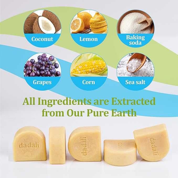 dadali Solid Dish Soap Bar 25oz | Zero Waste, Plastic-Free, Biodegradable Natural Dish Soap Block | Gentle for Sensitive Hands | Vegan Eco-Friendly Cleaner for Dishes, Fruits & Vegetables