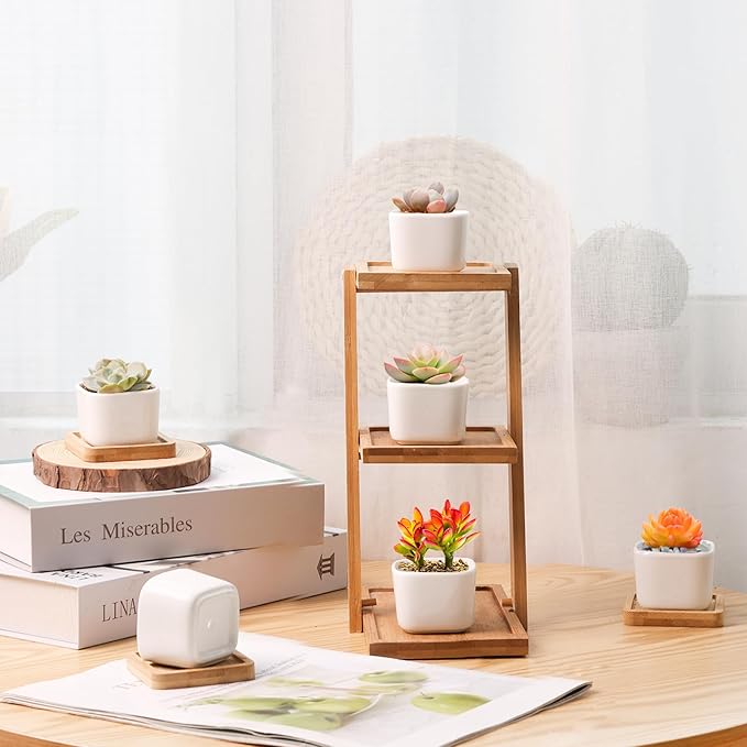 T4U 2 Inch Small White Succulent Planter Pots with Bamboo Tray Square Set of 2, Ceramic Flower Pots Cactus Air PlantContainers,Gardening Plant Gifts for Women, Modern Home and Office Decor