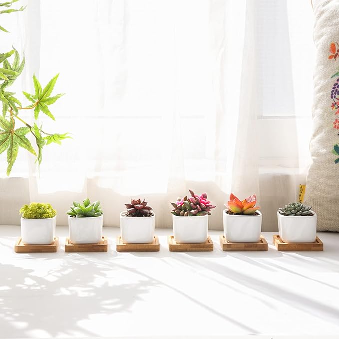 T4U 2 Inch Small White Succulent Planter Pots with Bamboo Tray Square Set of 2, Ceramic Flower Pots Cactus Air PlantContainers,Gardening Plant Gifts for Women, Modern Home and Office Decor