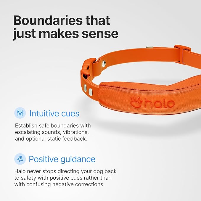 Halo Collar 5, New Wireless Dog Fence & GPS Dog Collar, Subscription Required, Waterproof, Graphite, One Size