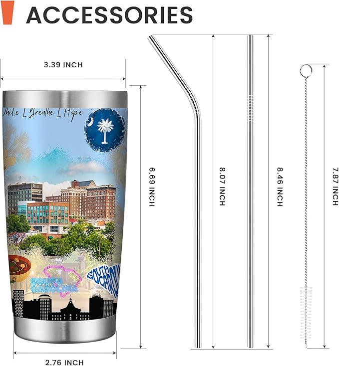 20oz Insulated Tumbler South Carolina State Coffee Mug, United States Map Travel Mug Landmark, Birthday Gifts Cute Custom Tumbler Cups with Lid and Straw Gifts for Mom