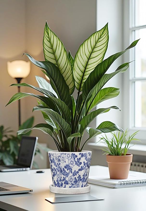 Ceramic Pot for Plants 5.5 inch Blue and White Pot for Plants Small Chinoiserie Planter Pots with Drainage Hole and Saucers Outdoor Inoor Blue Flower Pots for Succulent, Cactus, Snake Plant, Herb