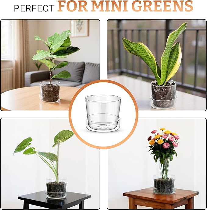 Sheer Glass Pot Planter with Drainage Holes & Tray - Decorative & Modern for All House Plants (6 Inches)