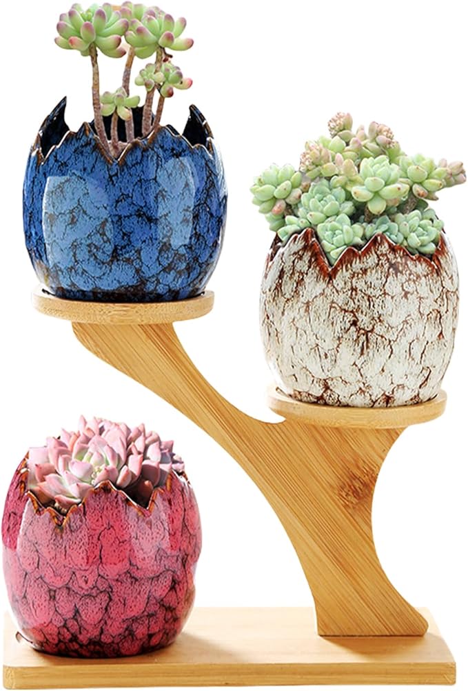 YYW Succulent Planter Pots Indoor Ceramic Decoration Cactus Small Flower Plant Pot with Tree Tier Bamboo Stand for Garden Kitchen Home Office Decor Plant Lovers Gifts 3Pcs