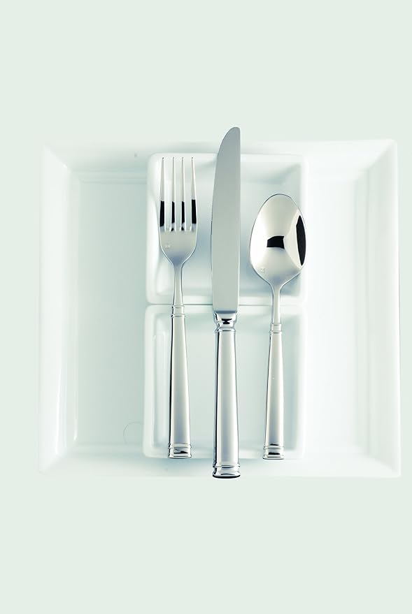 Fortessa Bistro 18/10 Stainless Steel Flatware Solid Handle Table Knife, Set of 12, Silver