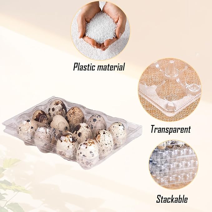 150 Pack Clear Quail Egg Carton,12 Grids Plastic Egg Cartons Bulk,Small Plastic Quail Egg Storage Holder with Lid,Stackable Quail Eggs Carton Trays for Storing Eggs of Quail, Pigeon