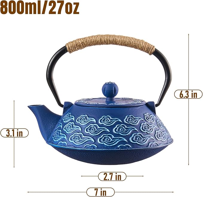 PARACITY Cast Iron Teapot Japanese 800ml/27oz, Tea Kettle Pot for Stove Top, Tea Pot with Stainless Steel Infusers for Loose Tea, Boiling Hot Water Tea, Mothers Day Gifts from Daughter/Son