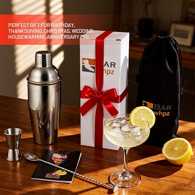 Cocktail Shaker Set, 24oz Stainless Steel Bartender Kit with Measuring Jigger & Mixing Spoon,Cocktail Recipe,Professional Martini Shaker for Home Bar, Drink Mixer Set for Beginner & Bartender Gift