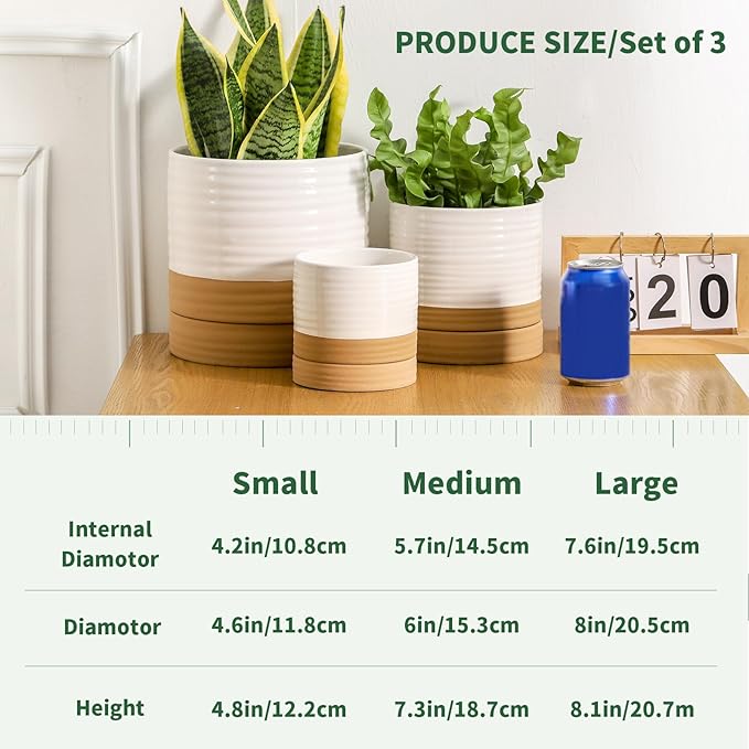HASENSE Plant Pots, 8+6+4.6 Inch Ceramic Pots for Plants with Drainage Hole and Saucer, White Flower Planters Set of 3, Ideal for Gardening Home Desktop Office Decor