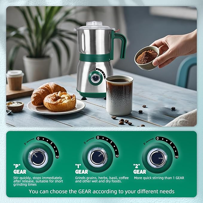 Spice Grinder Electric,Herb Nut Grinder for Kitchen,Detachable Espresso Grinders with Stainless Steel Blades,Filter and Brush, 500w Dry and Wet Grain Mill for Coffee,Rice,Bean,Seasoning (Green-X)