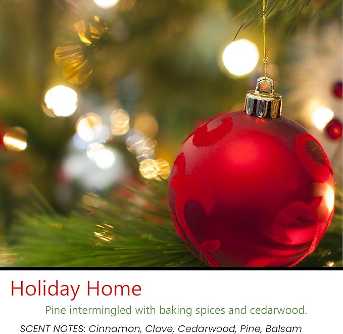 Candeo Candle Woodsy Winter Tealights 12 Pack Soy Beeswax Blend – Winter Lodge, Fraser Fir, O Christmas Tree, Clove & Holiday Home – Cozy Cabin Holiday Candles Handmade USA (Holiday Home)