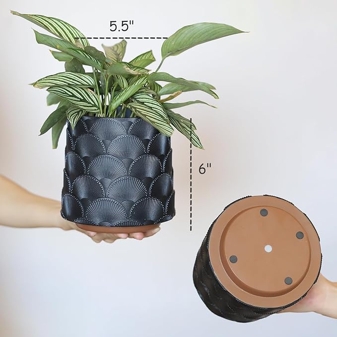 GUGUGO Pearl Black Scale Planter, Cute Unique Plant Pot with Drainage, Eclectic Colorful Small Flower Planters Pots for Indoor & Outdoor Plants, Rainbow Funny Succulent Gardening Pot Gifts