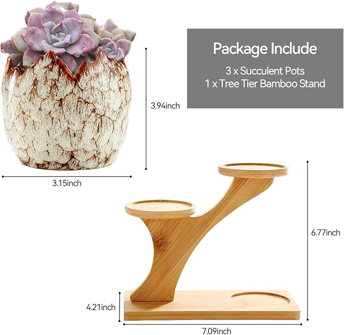 YYW Succulent Planter Pots Indoor Ceramic Decoration Cactus Small Flower Plant Pot with Tree Tier Bamboo Stand for Garden Kitchen Home Office Decor Plant Lovers Gifts 3Pcs