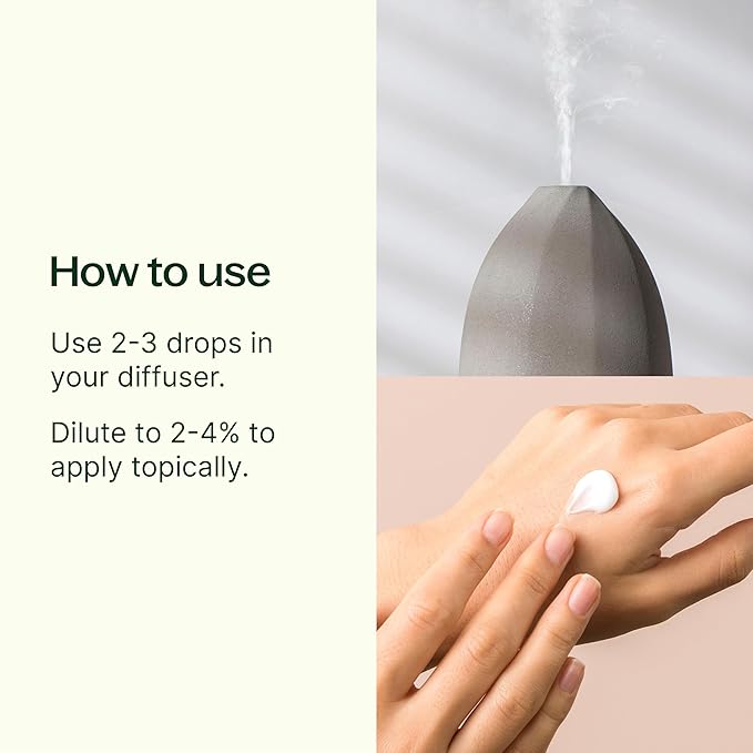 Plant Therapy Rosemary Essential Oil for Hair Growth, 100% Pure, Undiluted, Natural Aromatherapy for Diffuser & Rosemary Oil for Hair & Scalp, Therapeutic Grade 10 mL (1/3 oz)