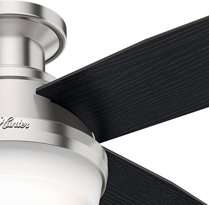 Hunter 52 inch Indoor Ceiling Fan with LED Light and Remote Control - Modern Ceiling Fan, Low Profile Mount, 4 Black Oak Blades, For Bedroom, Living Room, or Kitchen - Dempsey 59241, Brushed Nickel